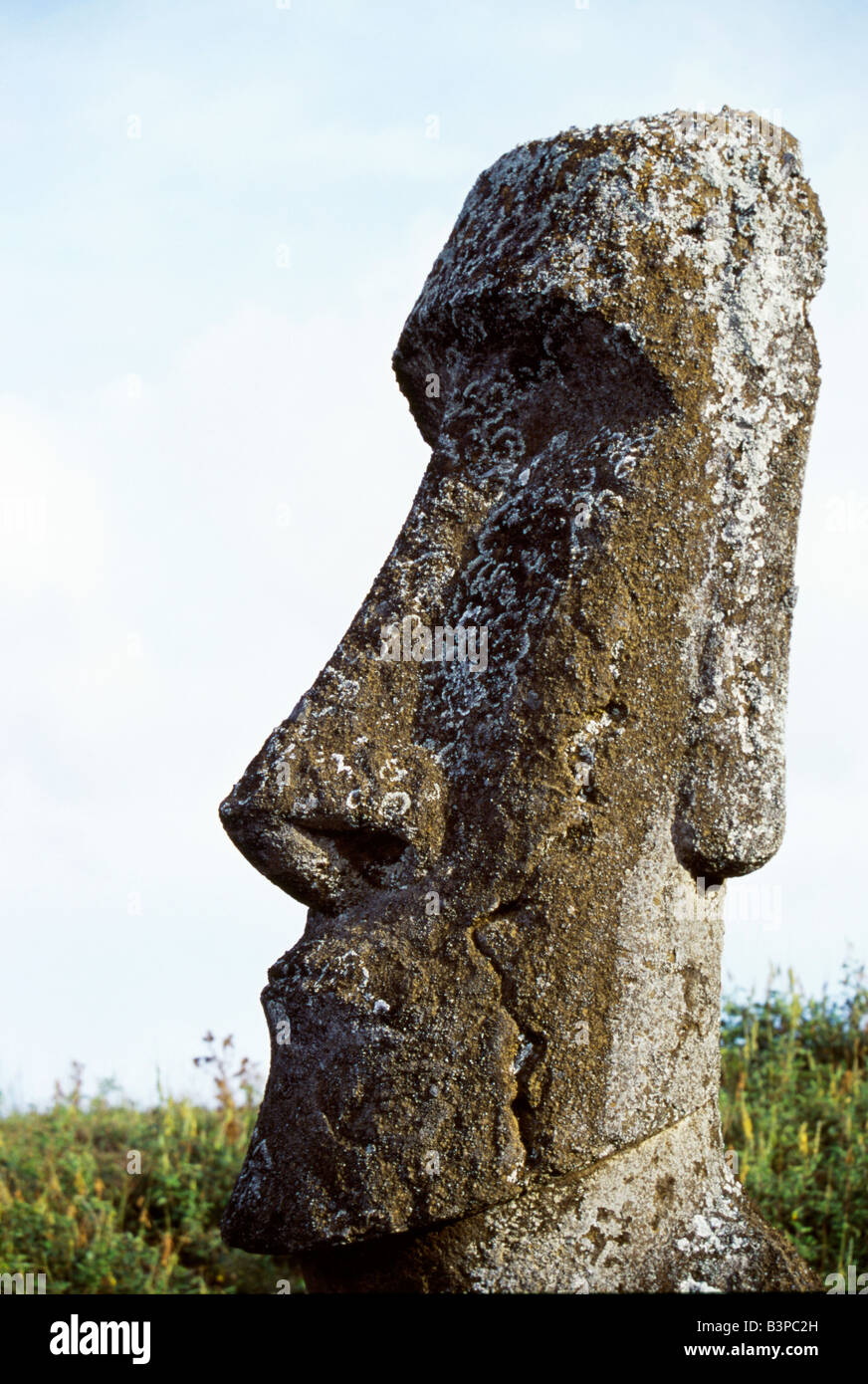 Chile, Easter Island, Rano Raraku. A finely chiselled stone head