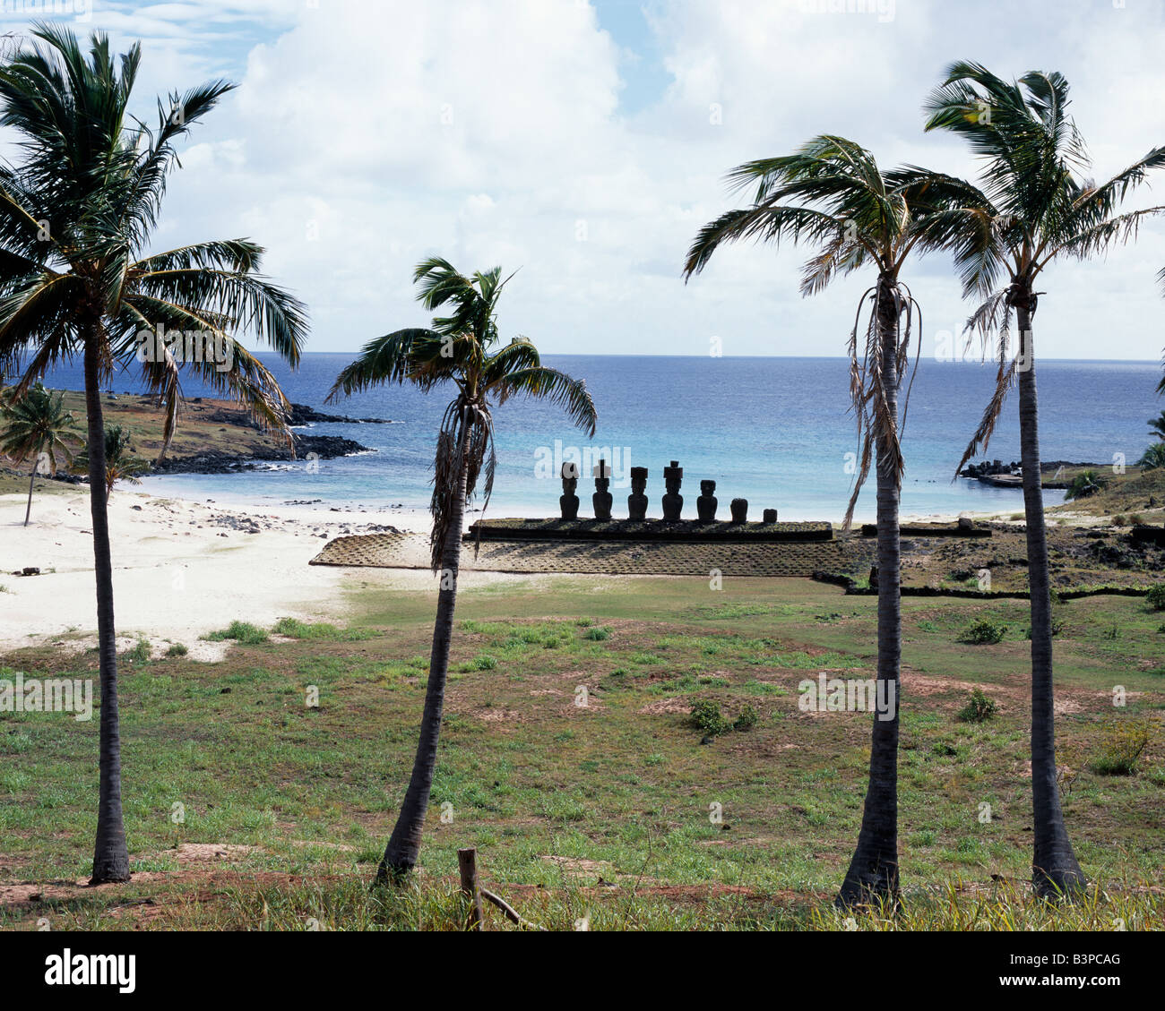 Chile, Easter Island, Anakena. Some of the finest preserved moais on