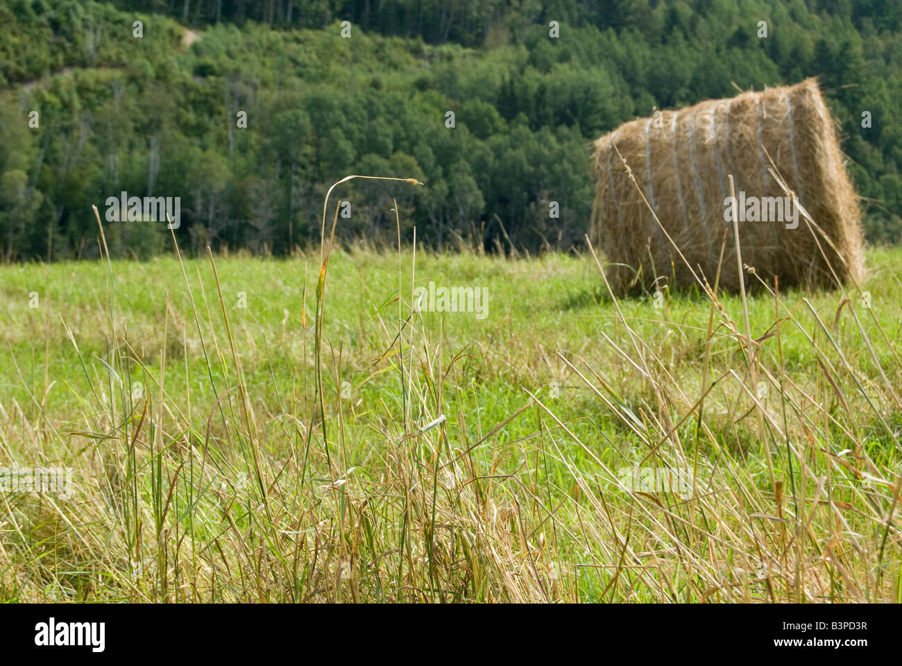 Taken at StUrbain, Charlevoix Stock Photo Alamy