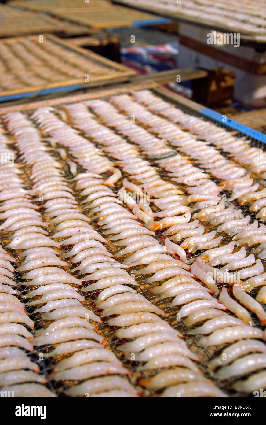 China, Hong Kong, Cheung Chau. Trays of shrimp lay out to dry on the waterfront on the the outlying island of Cheung Chau in Hong Kong. Fishing and agriculture remain important industries on the island of thirty thousand inhabitants. Stock Photo