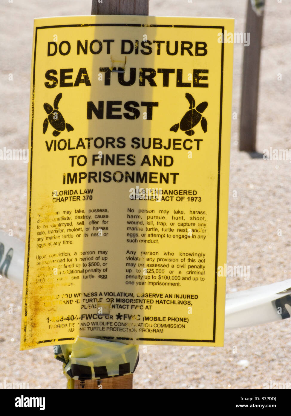 Warning sign attached to sea turtle nest on Florida beach Stock Photo