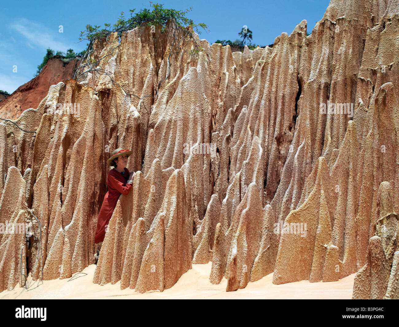 Northern Madagascar, Karst sandstone, known in Madagascar as tsingy, is a feature of a large ravine of ancient rock formations at Irodo, southeast of Antsiranana (Diego Suarez). A lady visitor gives scale to the impressively sharp red pinnacles, which are the result of millions of years of erosion. Tsingy is a Malagasy word meaning 'walking on tiptoe'. Stock Photo