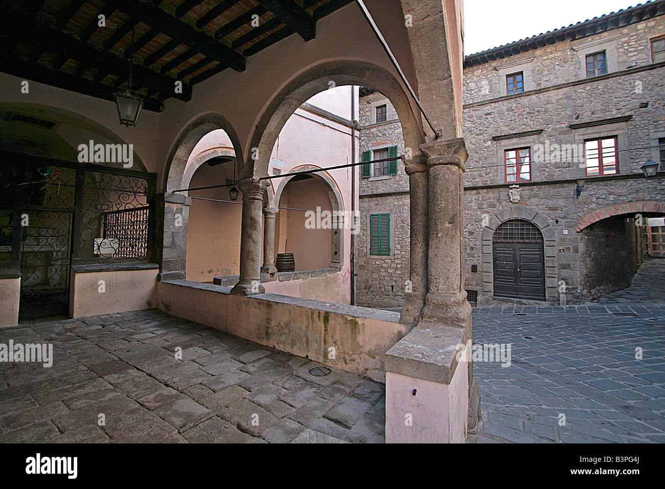 Palazzo Nerucci, Castel del Piano, Monte