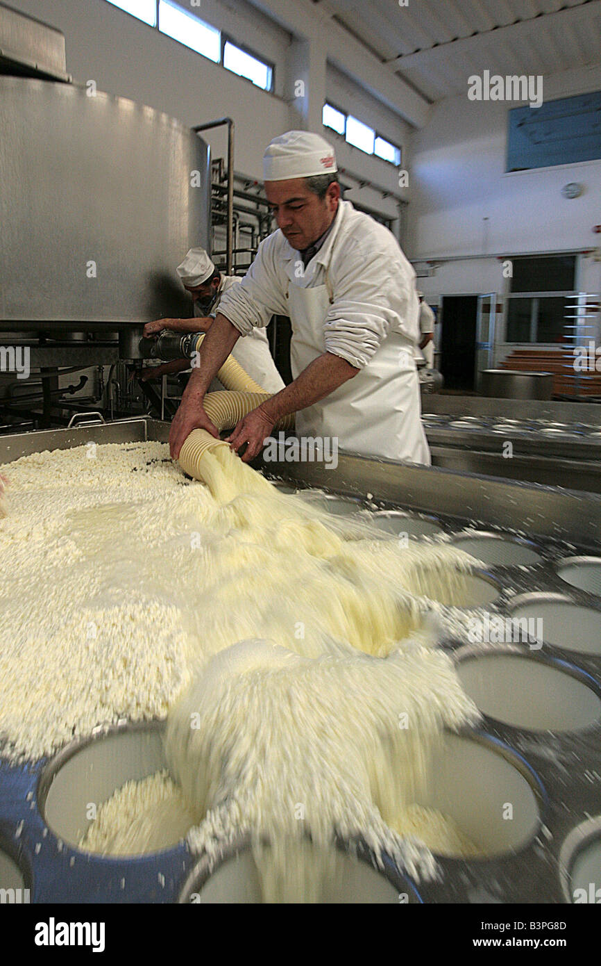 Pecorino cheese preparation, Il Fiorino cheese maker, Roccalbegna