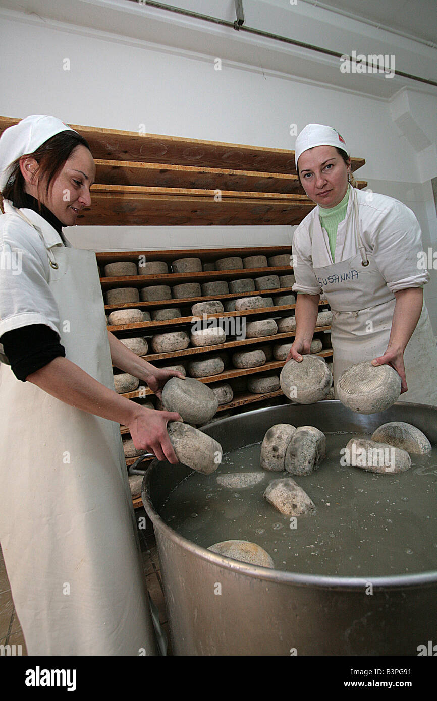 Washing, Pecorino cheese preparation, Il Fiorino cheese maker