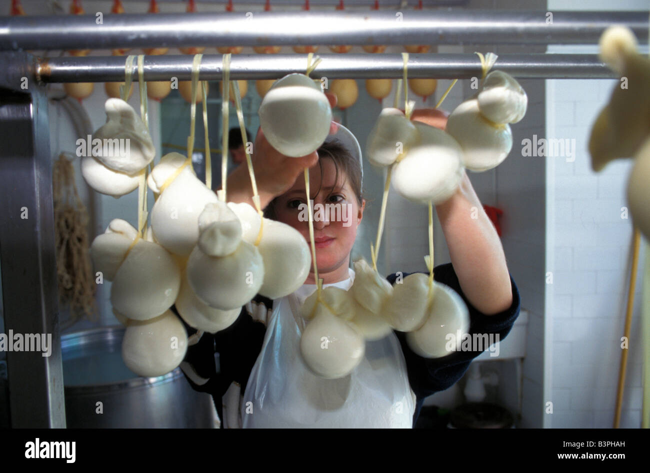 Caciocavallo typical cheese, Agnone, Molise, Italy Stock Photo