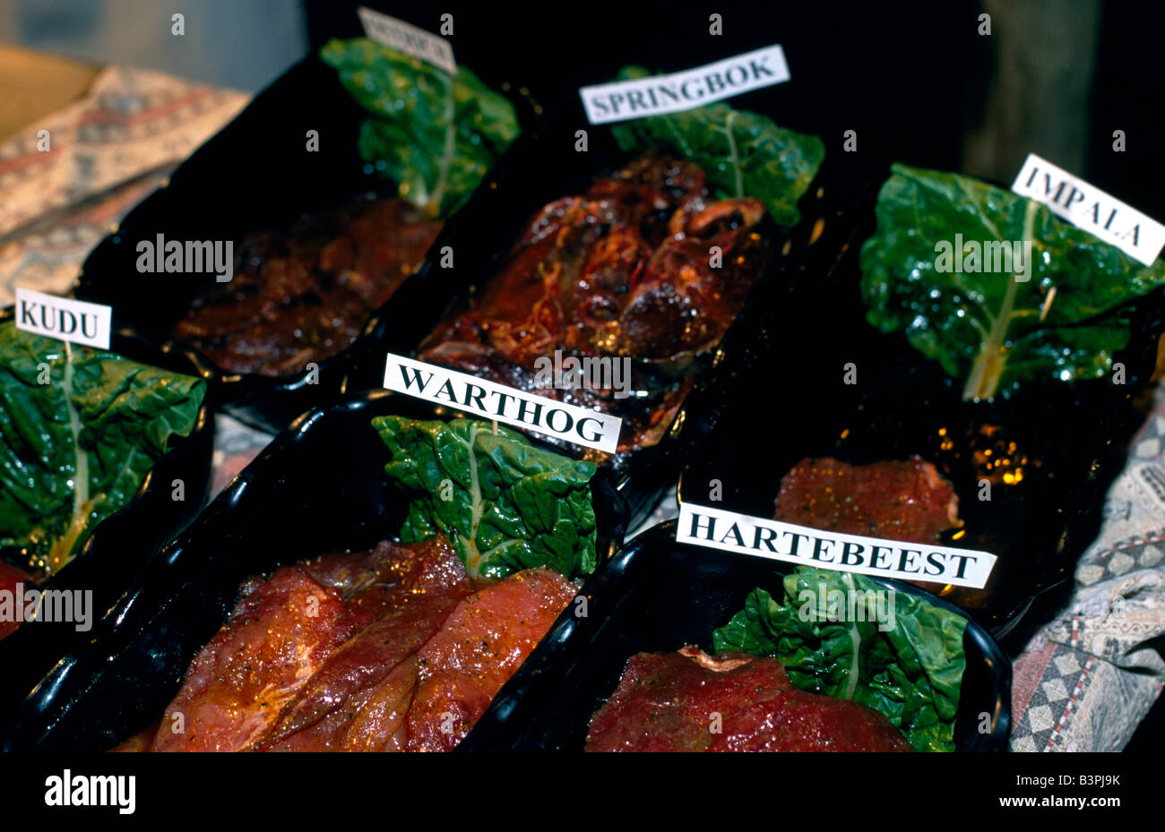 "Braai, " traditional southern African barbecue meats, Sossusvlei Lodge