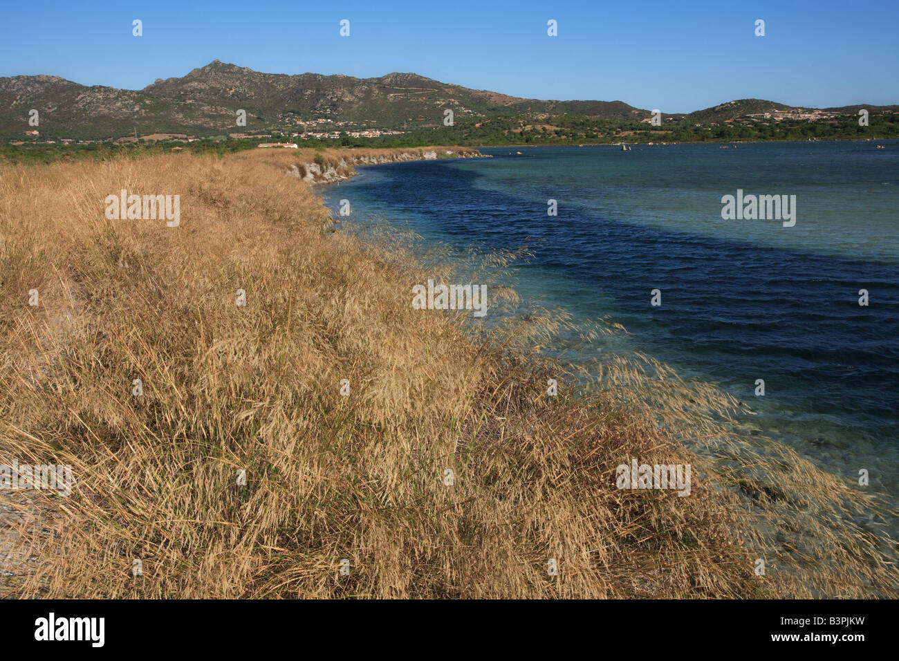 Stagno di San Teodoro moist area, Sardinia, Italy Stock Photo Alamy