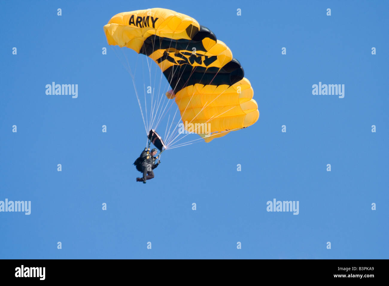 US Army Golden Knights - The United States Army Parachute Team Stock Photo