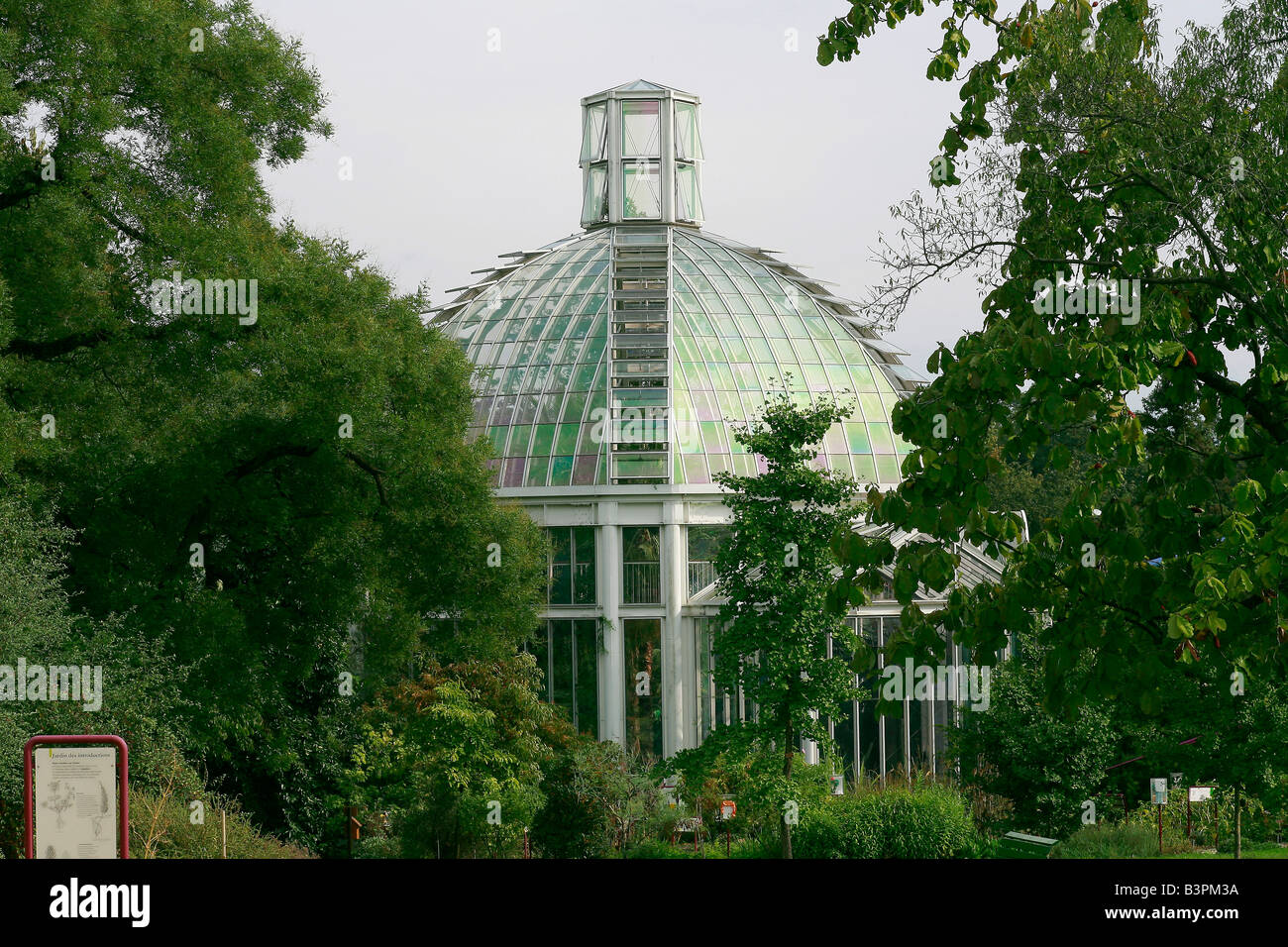 Glasshouse, Botanical garden, Geneva, Switzerland, Europe Stock Photo
