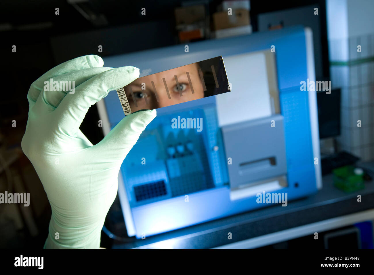Female laboratory assistant with gene chip and reading device for sequencing and gene expression profiling, Max-Planck-Institut Stock Photo