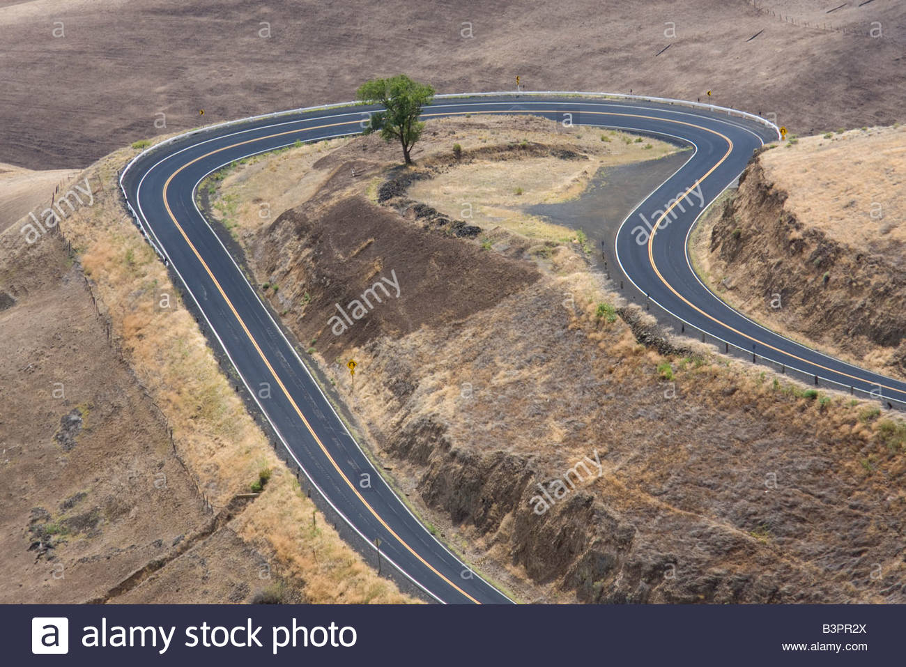 A Lone Tree Stands In The Middle Of A Hairpin Curve On The