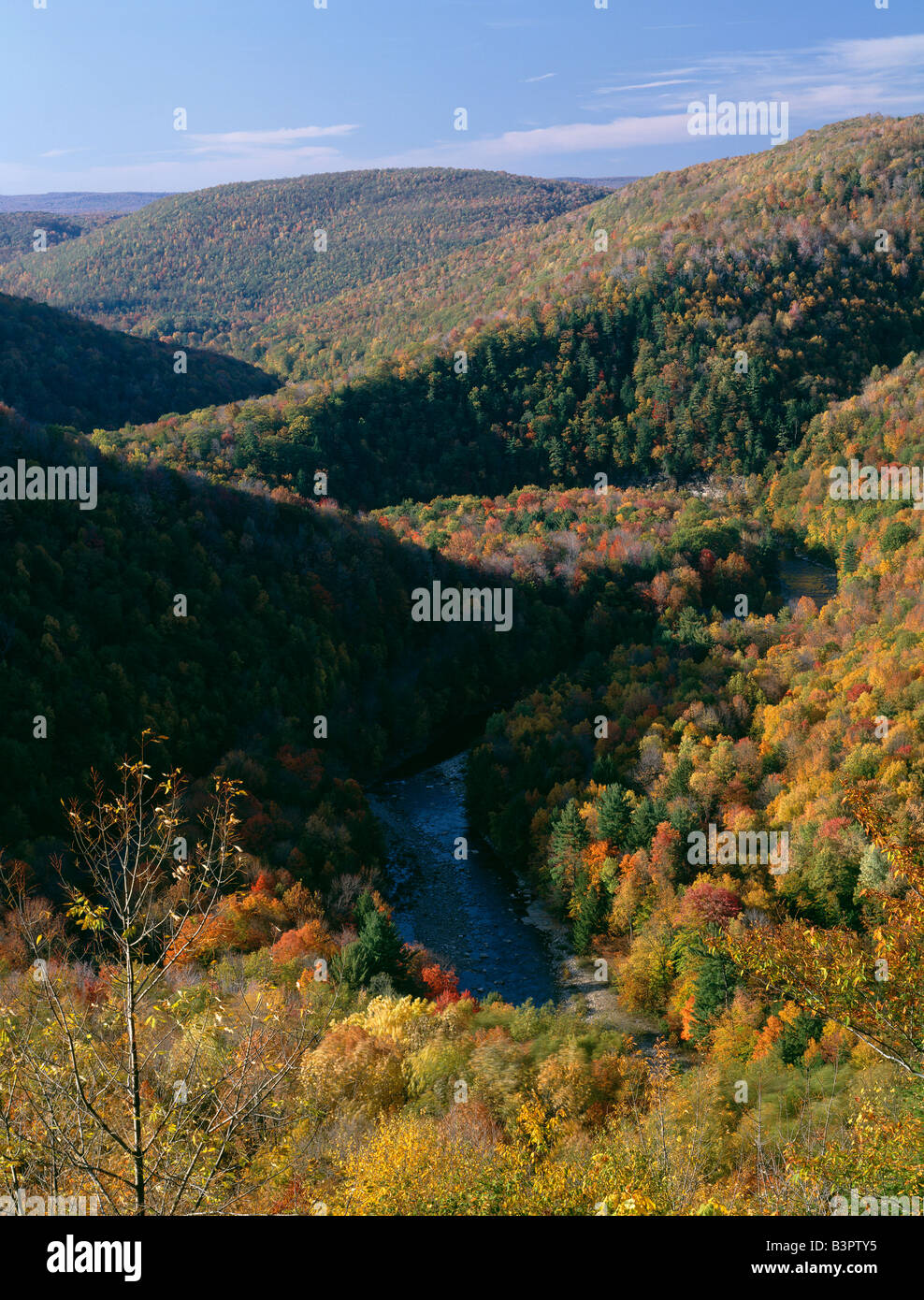AUTUMN VIEW OF LOYALSOCK CREEK FROM CANYON VISTA OVERLOOK, WORLDS END