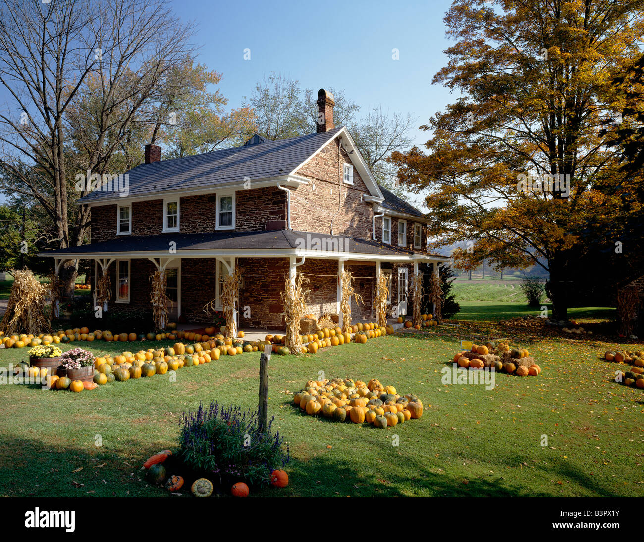PUMPKINS FOR SALE, TRAUGER FARM (CIRCA 1784) ON DELAWARE & PENNSYLVANIA
