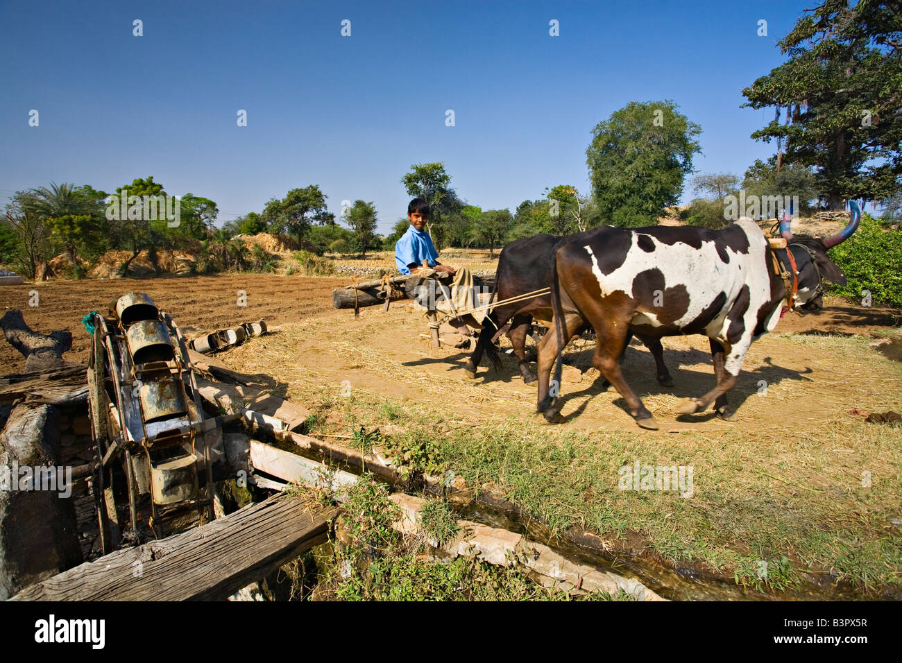Field irrigation system, Rajasthan, India, Asia Stock Photo Alamy