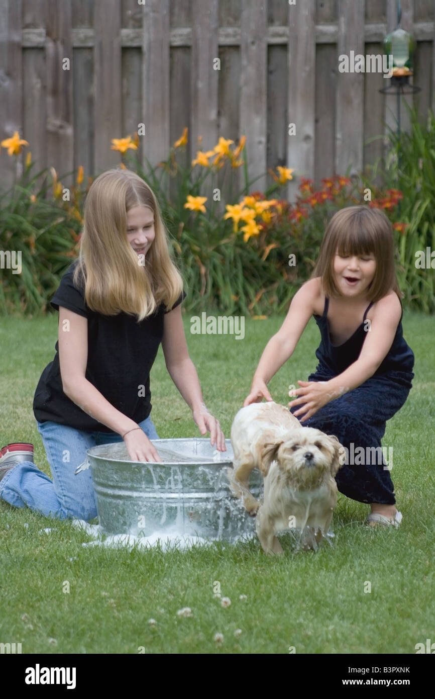 Children wash dog with soap hires stock photography and images Alamy