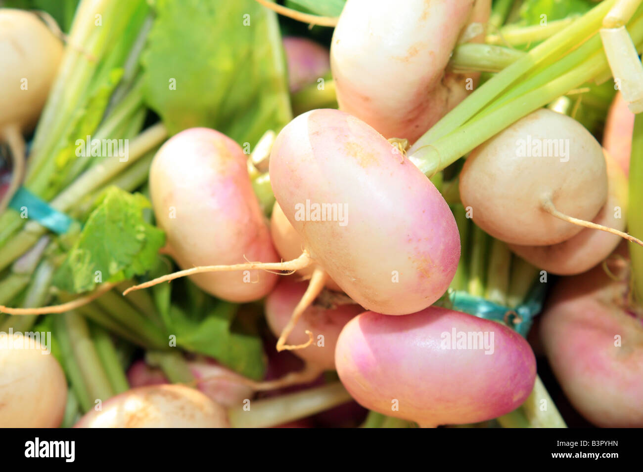 turnips on a market stall, St Cast le Guildo, Cotes d'Amour, Brittany