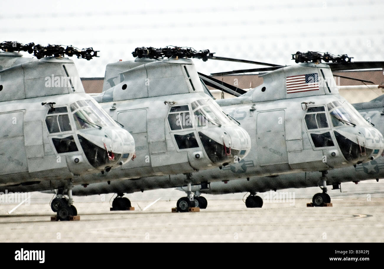 US navy helicopters at master jet station Oceana Stock Photo