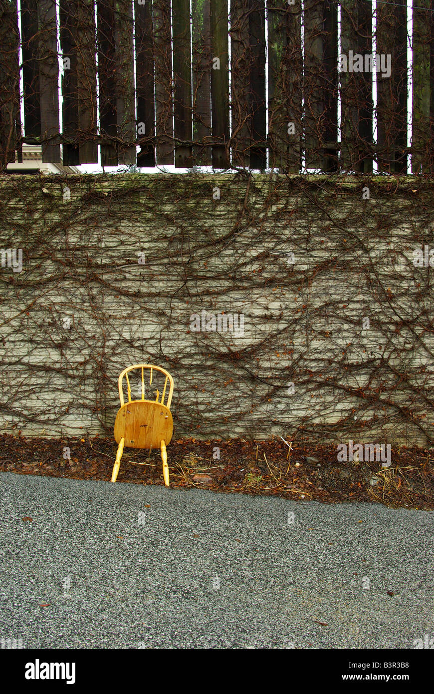 A small wooden chair is abandoned against a vine covered stone and wood fence in the winter. Stock Photo