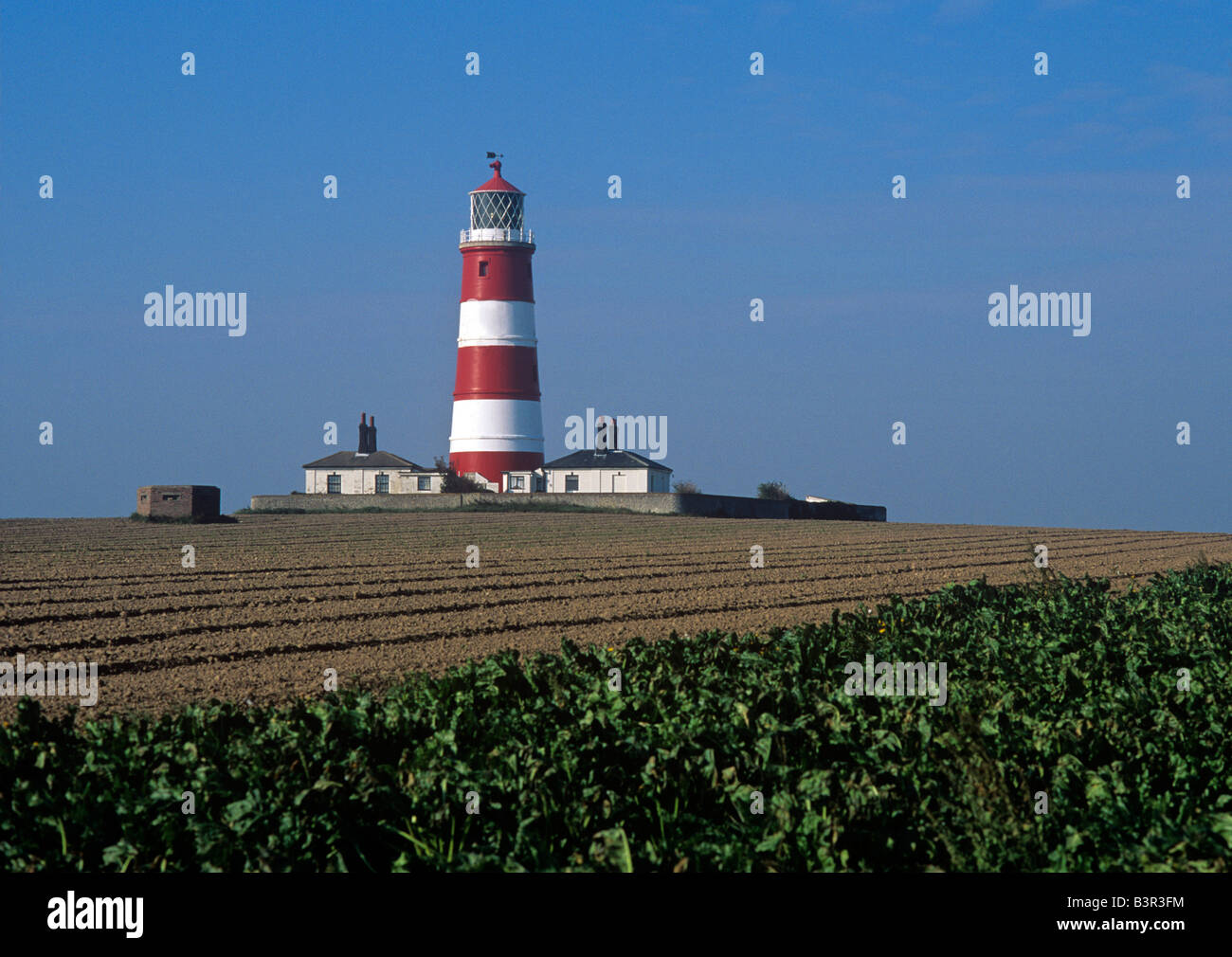 Lighthouse on farmland inland half a mile from the cliffs at Happisburgh on the North Norfolk Coast Stock Photo