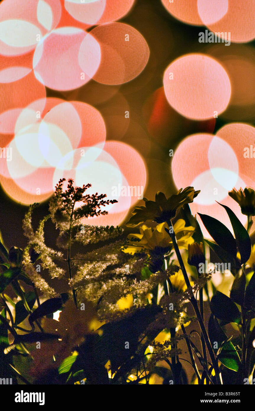 flower decoration against light blur Stock Photo