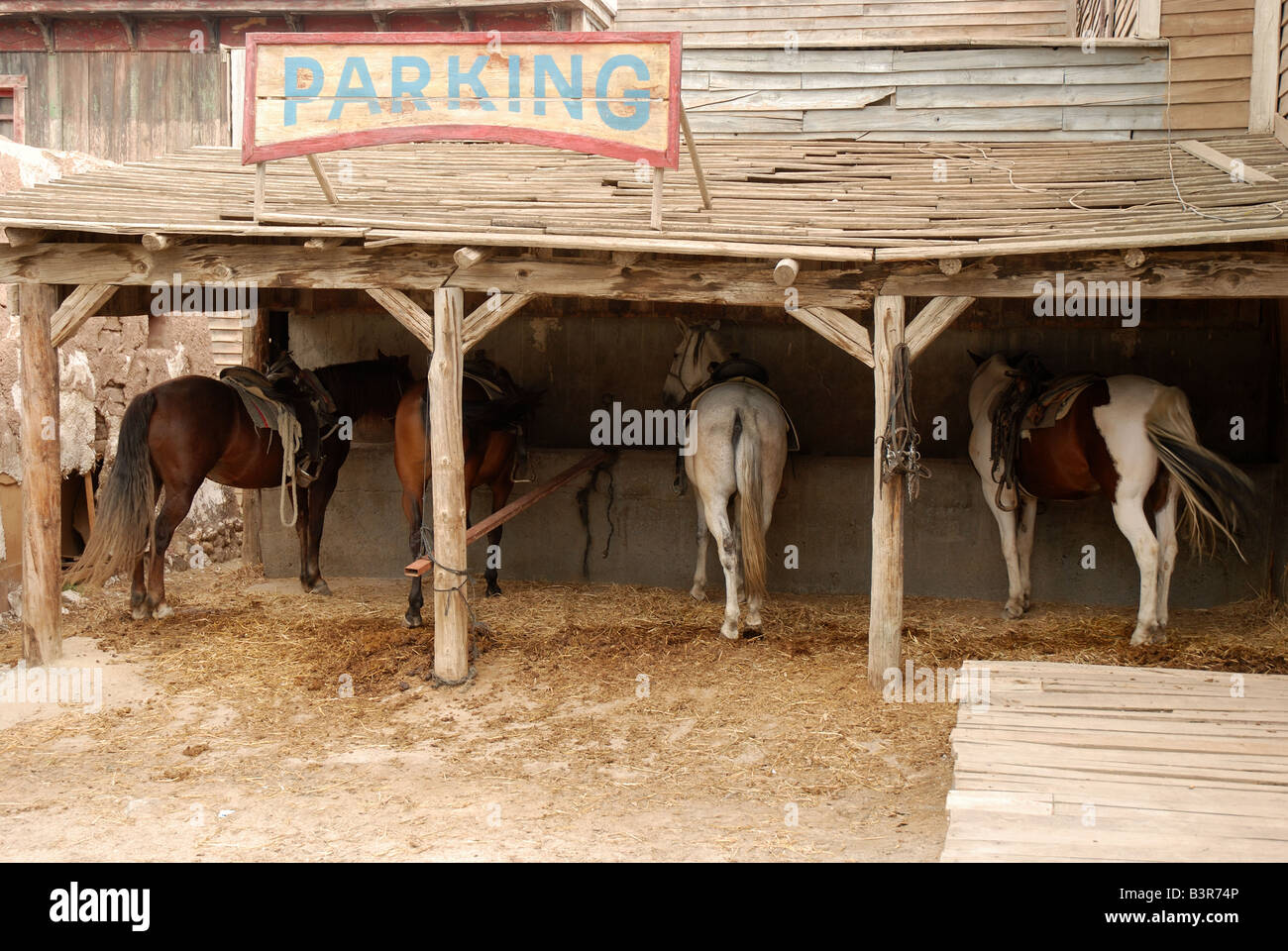 Parking lot for horses Stock Photo Alamy