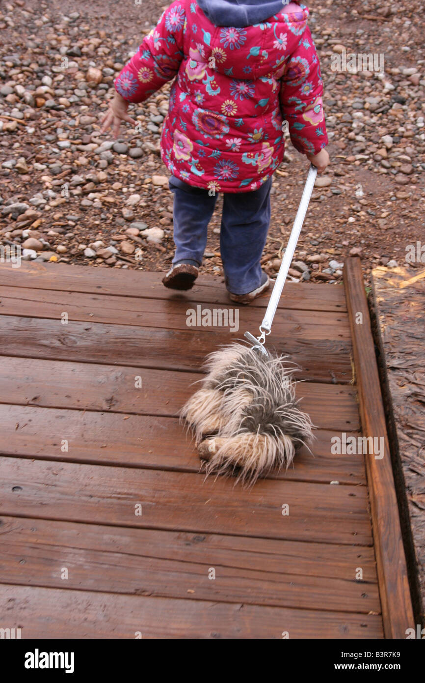 toddler pulling wet stuffed animal dog by a leash Stock Photo