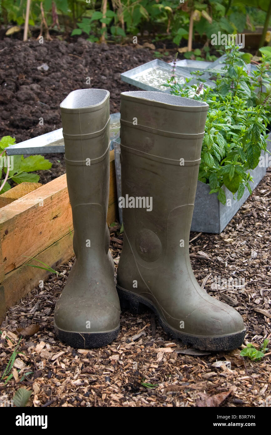 Dirty Wellington Boots on allotment path, Green Wellies in front of  seedlings in planters, Dirty Garden rubber boots Stock Photo - Alamy
