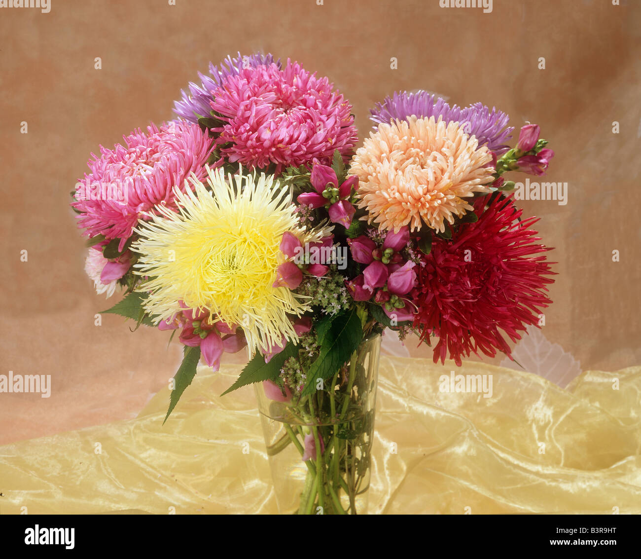 Bouquet With China Aster And Turtlehead Stock Photo Alamy