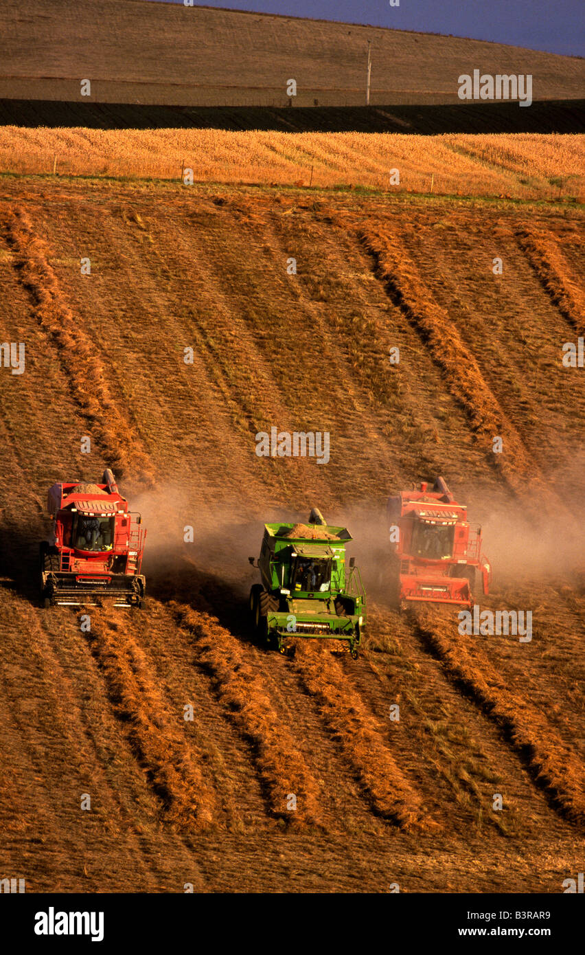 Sciencepaddock hires stock photography and images Alamy