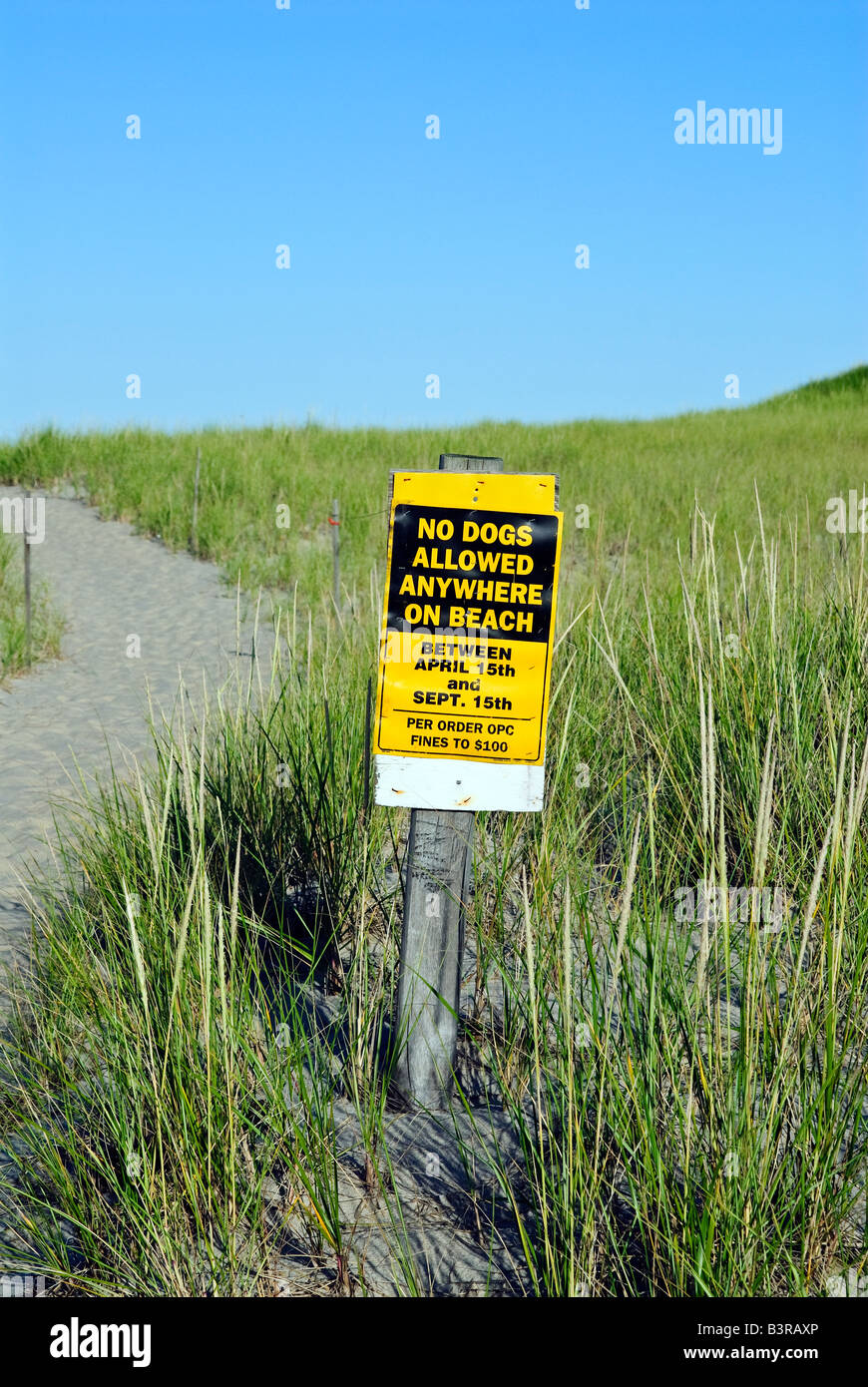 Warning sign prohibiting dog walking on the beach, Cape Cod National