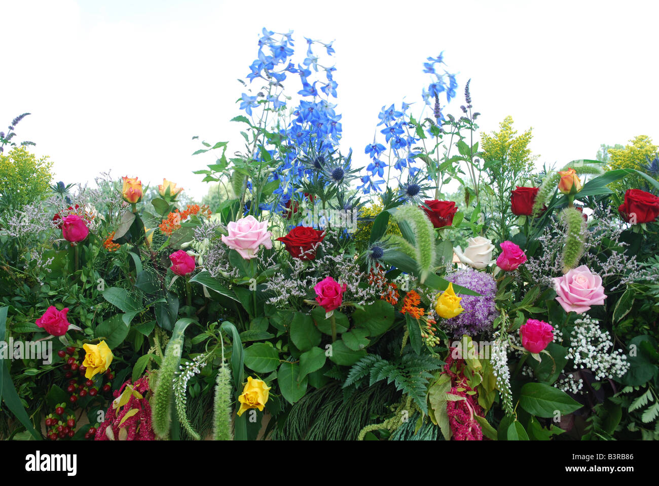 flower display at bi annual Rose festival Lottum Limburg Netherlands Stock Photo