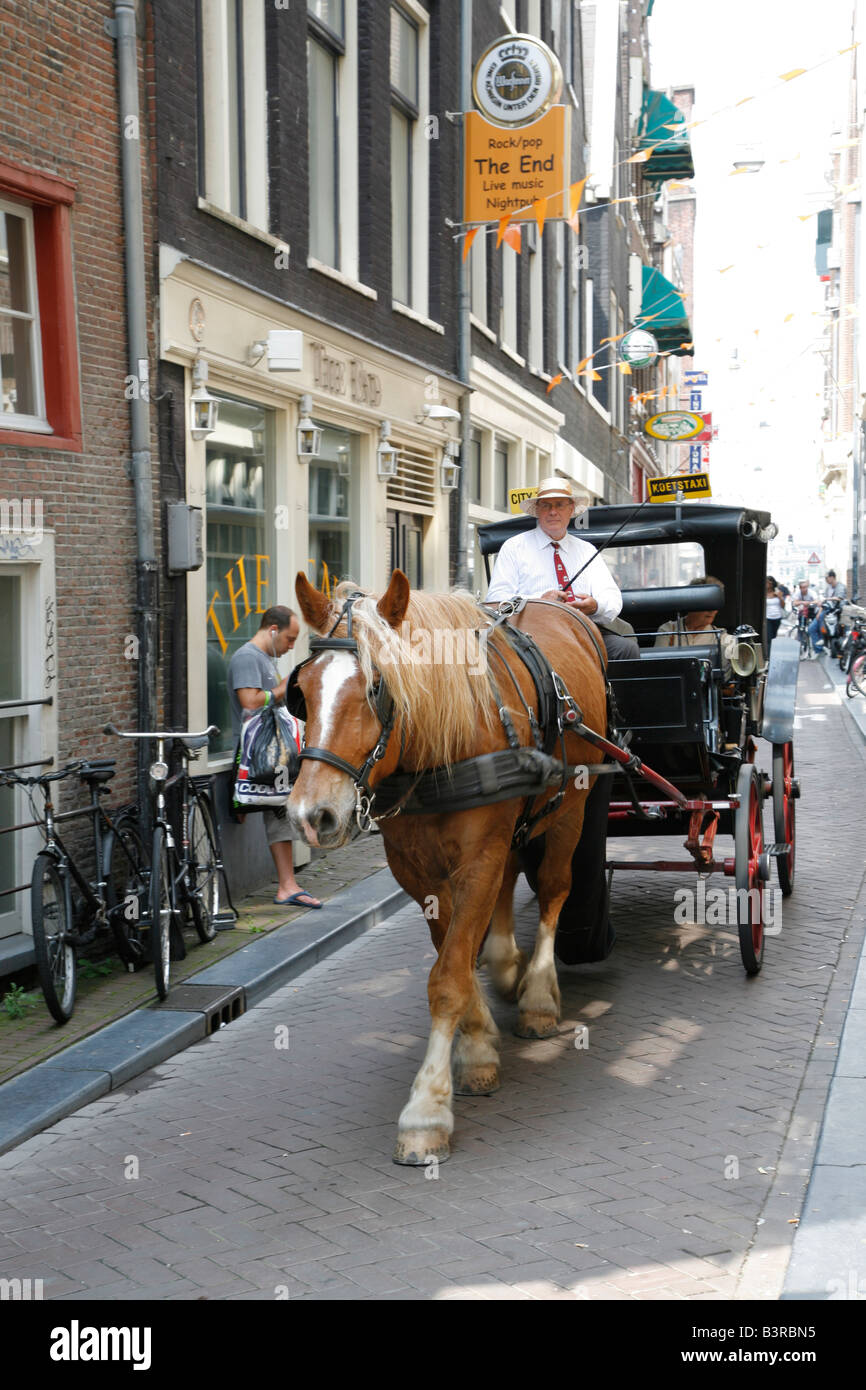 Horse carriage, Amsterdam, Netherlands Stock Photo Alamy