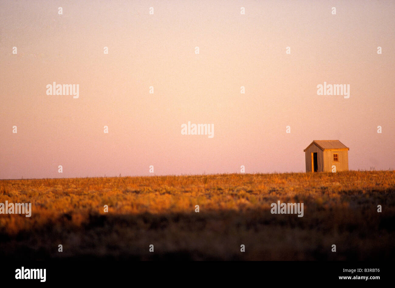 Abandoned weathered shack corrugated hi-res stock photography and ...