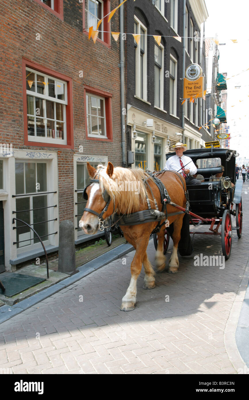 Horse carriage, Amsterdam, Netherlands Stock Photo Alamy