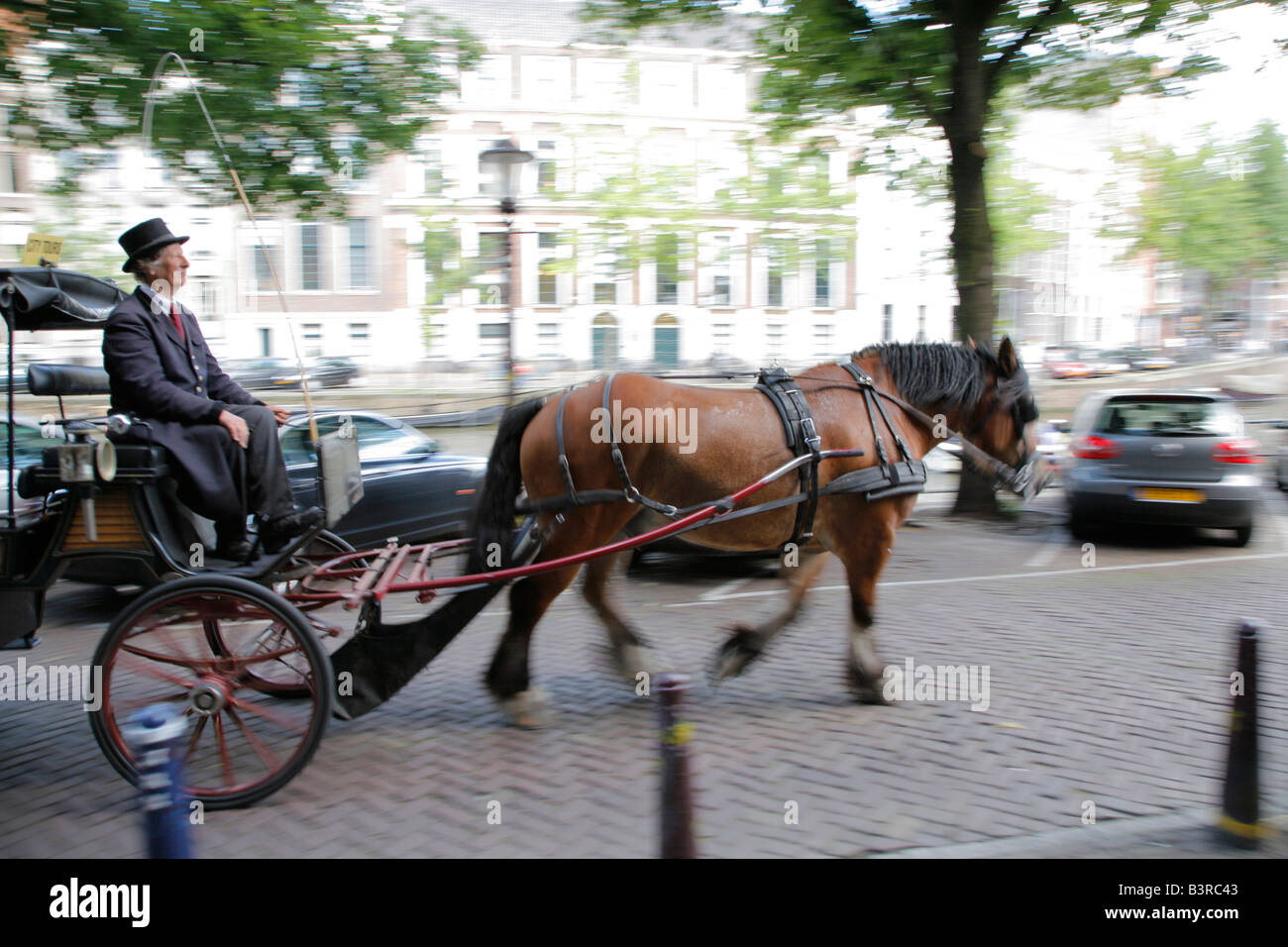 Horse carriage, Amsterdam, Netherlands Stock Photo Alamy