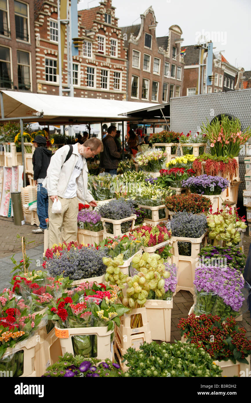 Flower Market, Amsterdam, Netherlands Stock Photo Alamy
