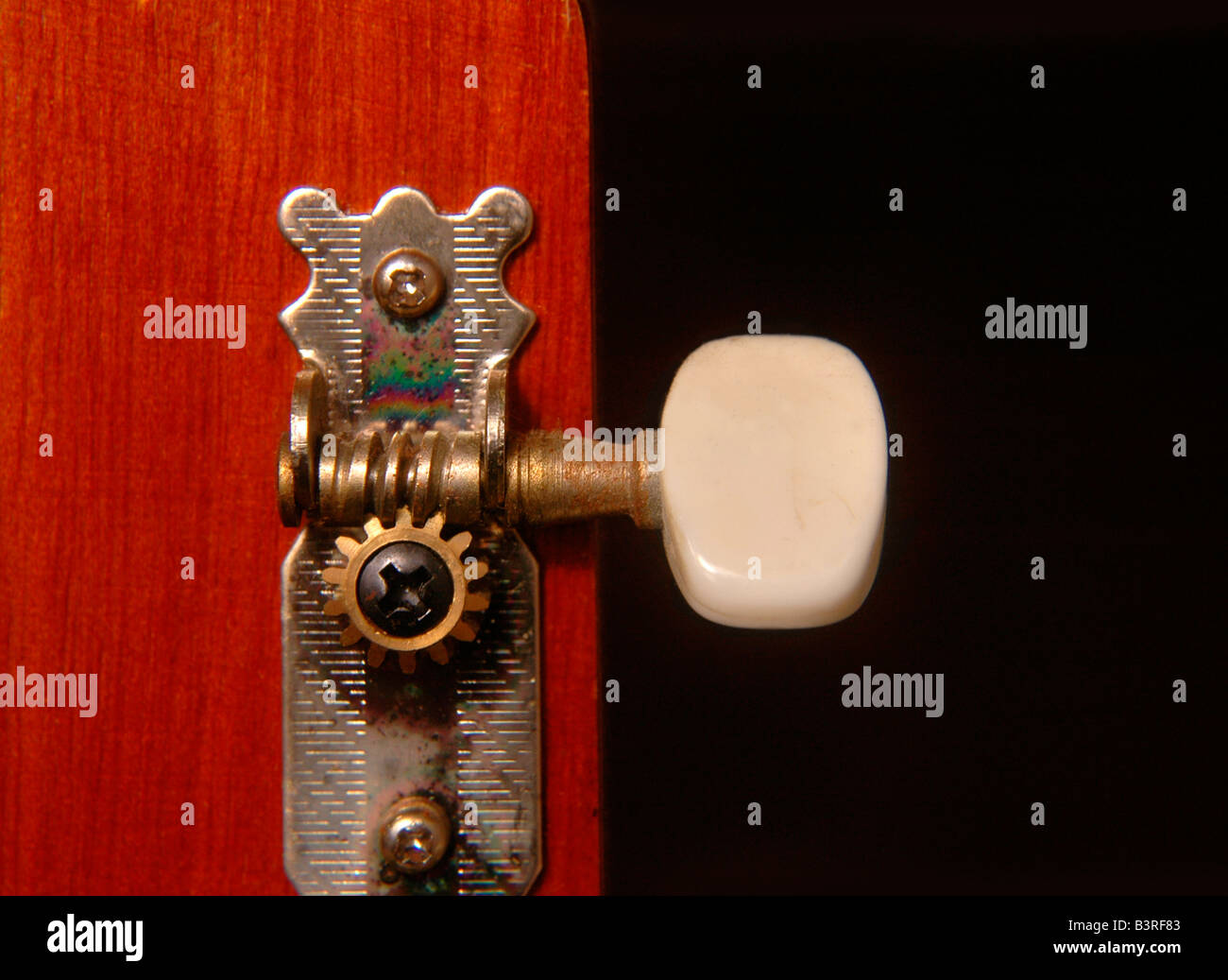 Detail of one tuning peg of a guitar. Stock Photo