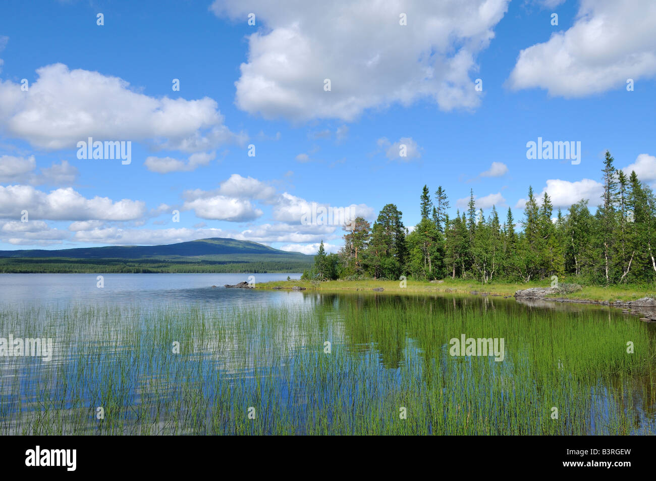 Swedish Landscape with Lake, Ottsjö, Jämtland, Sweden Stock Photo