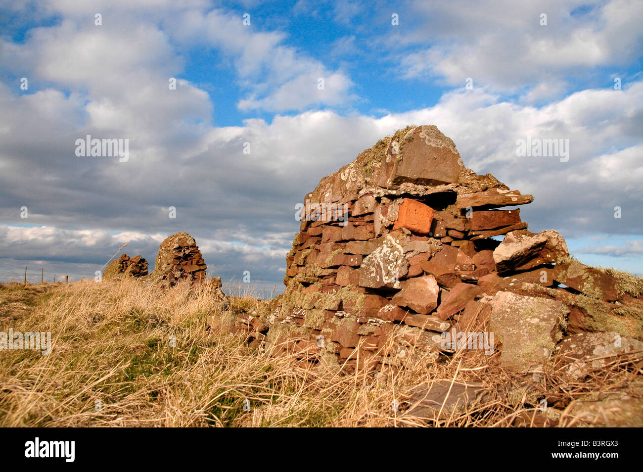 A crumbling old dry stone dyke at the edge of a field, patched up in the past with red bricks. Stock Photo
