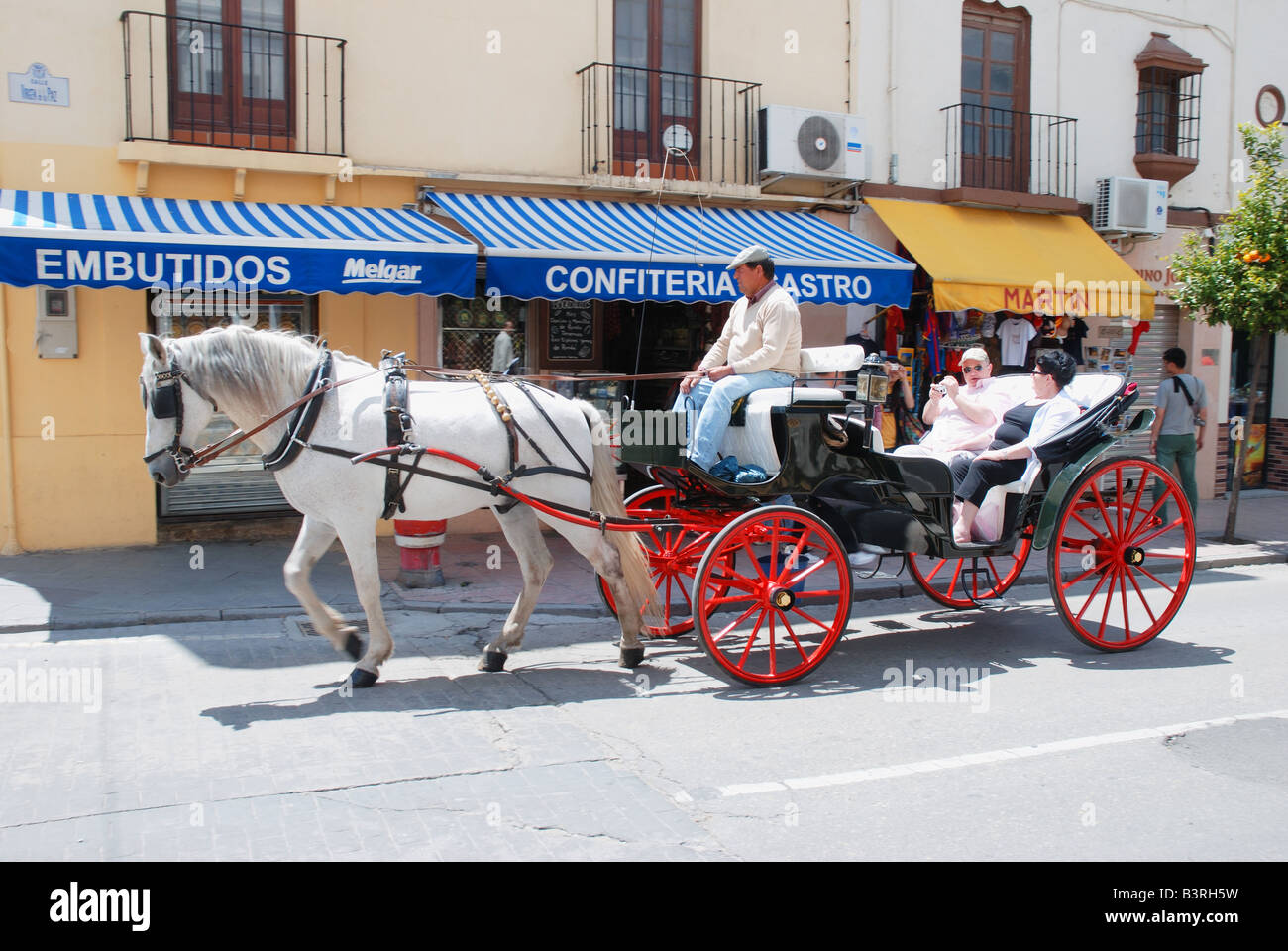 Couple of tourists in a carriage. Ronda. Malaga province. Andalusia. Spain. Stock Photo