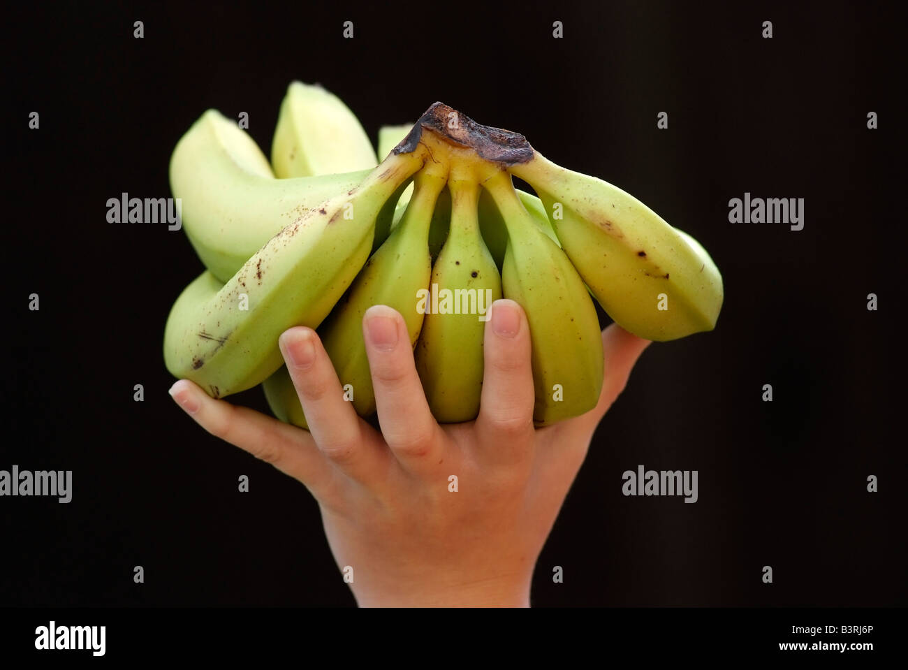 Hand of bananas being held in a young girls hand Stock Photo Alamy