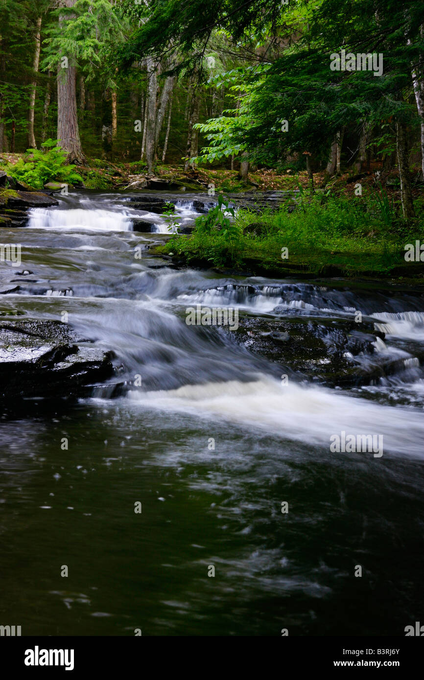 Laughing whitefish river hires stock photography and images Alamy