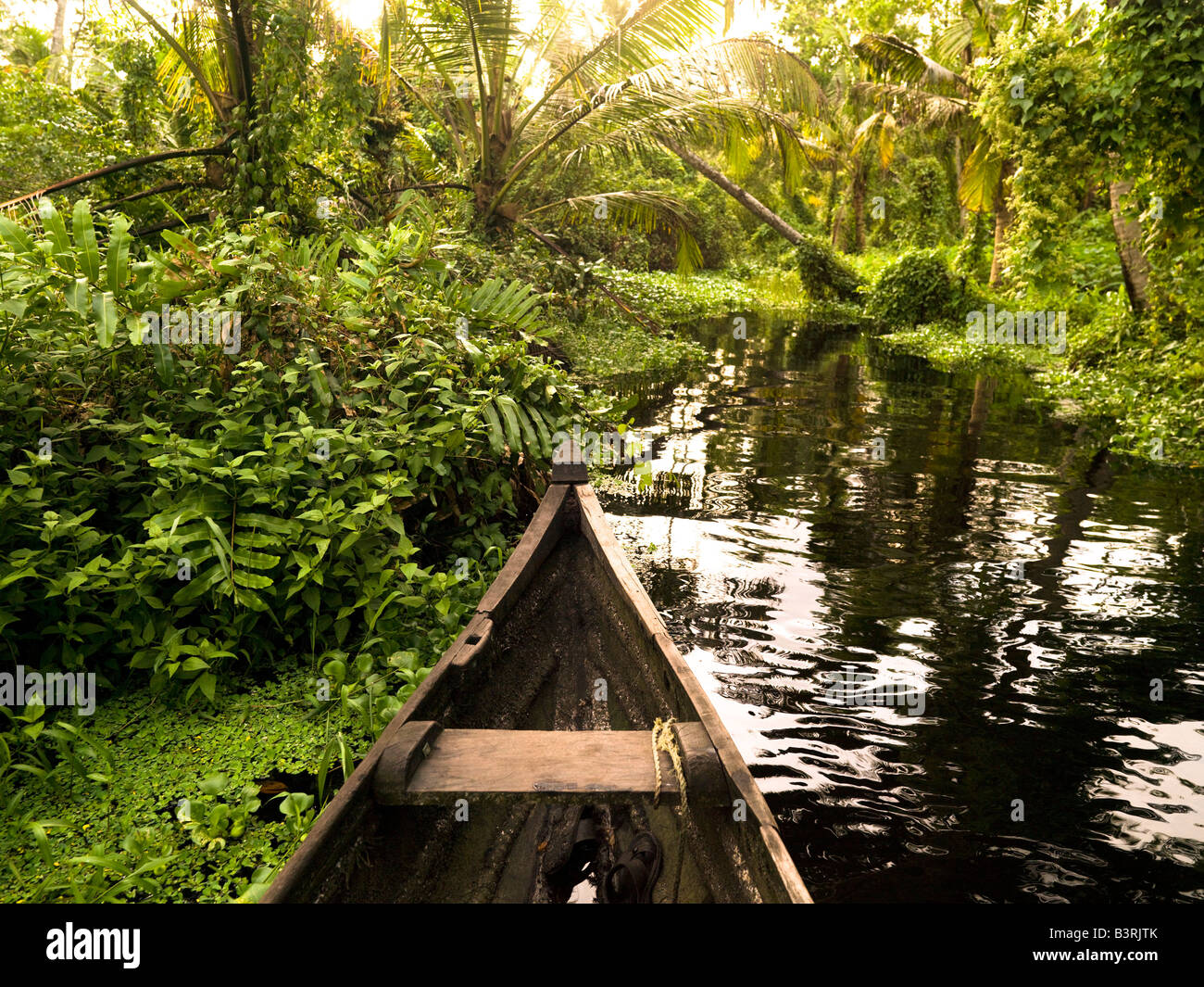 Canoe in the jungle, Kerala, India Stock Photo