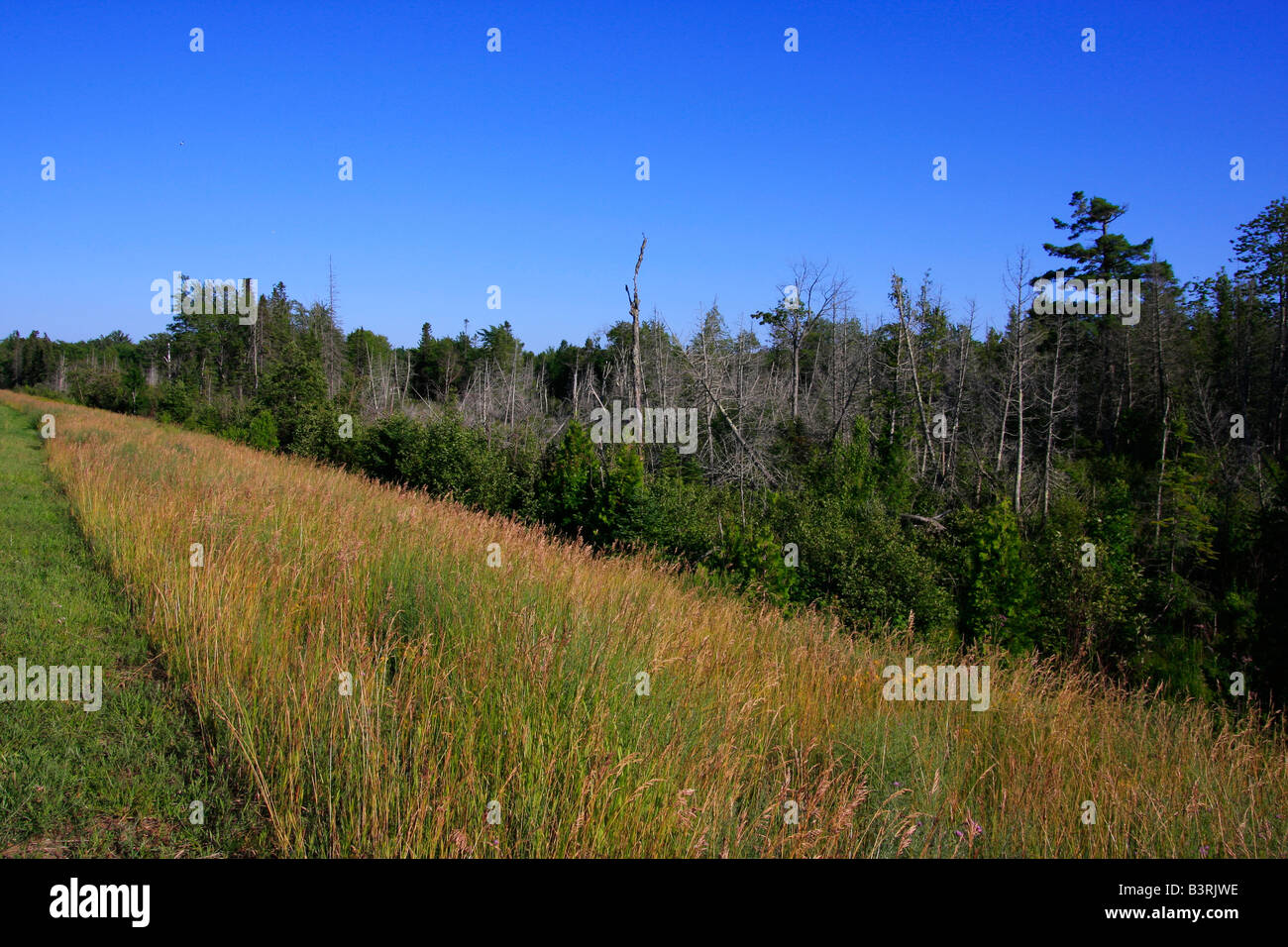 Upper Peninsula Michigan in USA landcape outside horizon nobody from