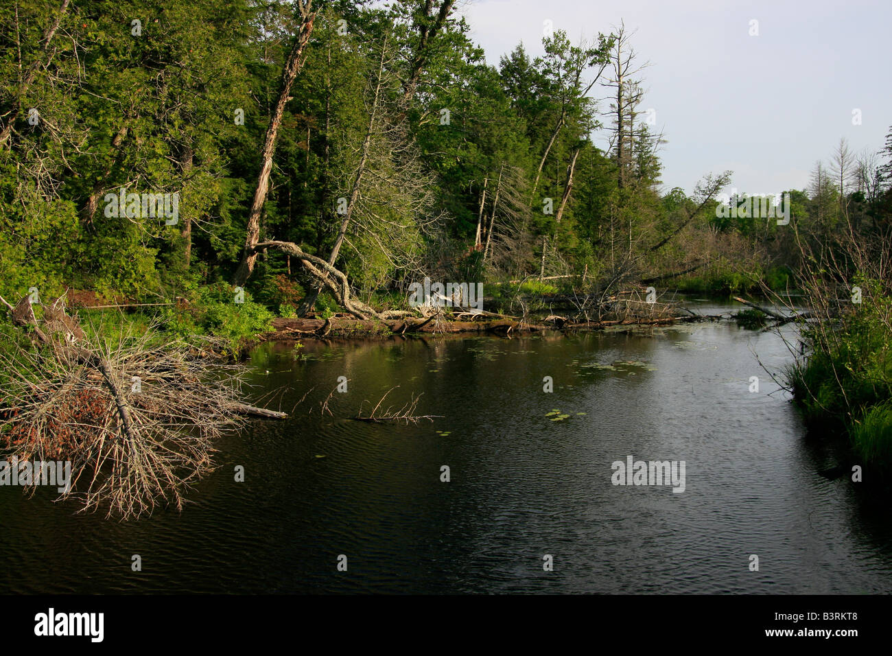 Laughing Whitefish River Hiawatha National Forest Upper Peninsula Michigan MI from above pictures large high resolution horizontal in USA US hi-res Stock Photo