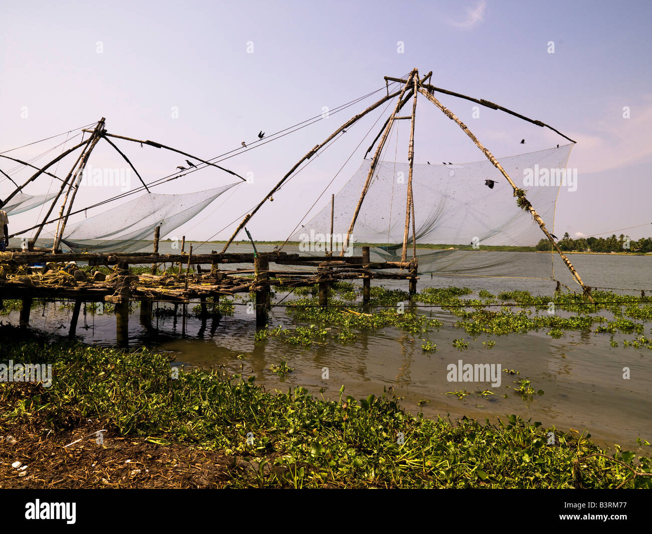 Chinese fishing nets, Cochin, India Stock Photo