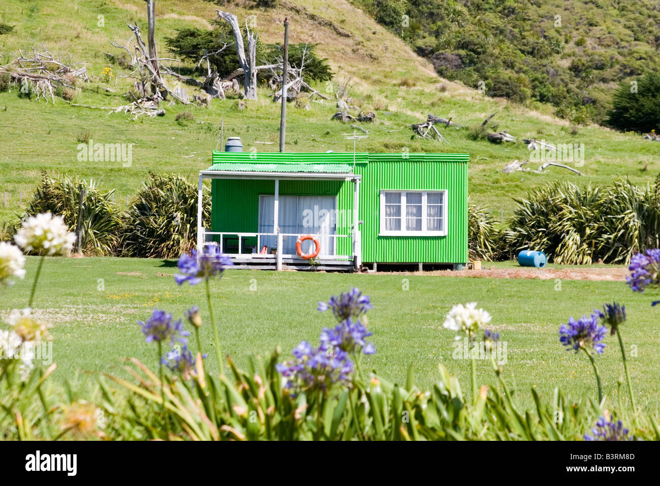 A typical New Zealand Bach (holiday home Stock Photo Alamy
