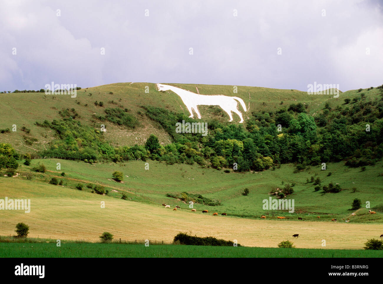 Prehistoric white horse carved into hillside, Oxfordshire, England