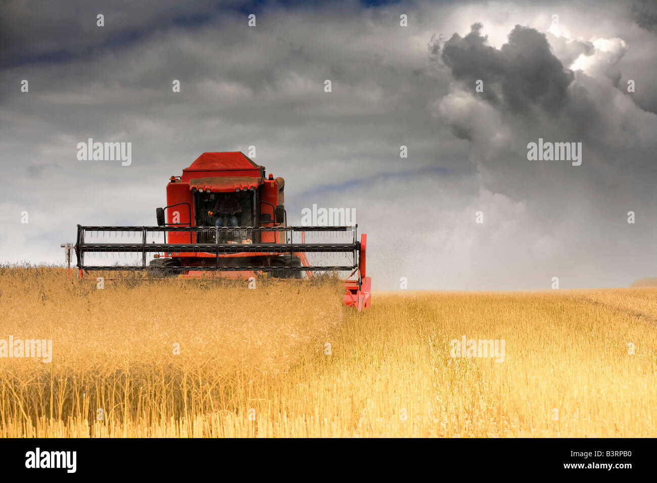 Combine harvester, North Yorkshire, England Stock Photo